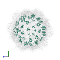 DNA (5'-D(*AP*TP*AP*CP*CP*TP*CP*TP*TP*GP*C)-3') in PDB entry 4dpv, assembly 1, side view.