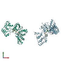 PDB entry 4dql coloured by chain, front view.