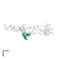 Poly [ADP-ribose] polymerase 1, processed N-terminus in PDB entry 4dqy, assembly 1, top view.