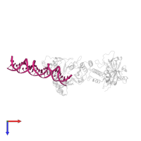 DNA (26-MER) in PDB entry 4dqy, assembly 1, top view.