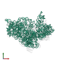 16S ribosomal RNA in PDB entry 4dr5, assembly 1, front view.