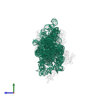 16S ribosomal RNA in PDB entry 4dr5, assembly 1, side view.
