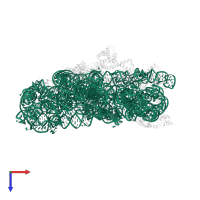 16S ribosomal RNA in PDB entry 4dr5, assembly 1, top view.