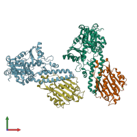PDB entry 4drf coloured by chain, front view.