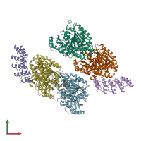 PDB entry 4drx coloured by chain, front view.