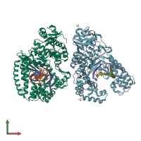 3D model of 4ds5 from PDBe