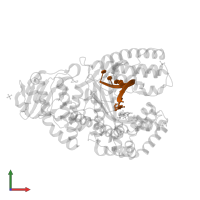 DNA (5'-D(*CP*CP*TP*GP*AP*CP*TP*CP*(DOC))-3') in PDB entry 4dsf, assembly 2, front view.