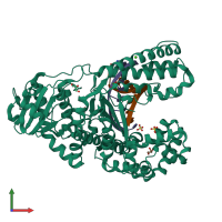 PDB entry 4dsi coloured by chain, front view.