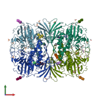 PDB entry 4dsy coloured by chain, front view.