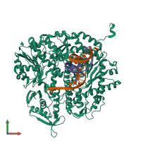 PDB entry 4dtn coloured by chain, front view.