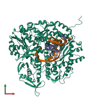 PDB entry 4dtu coloured by chain, front view.