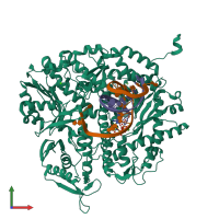 PDB entry 4dtx coloured by chain, front view.
