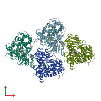 PDB entry 4duf coloured by chain, front view.