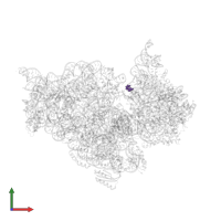 Modified residue 2MG in PDB entry 4duy, assembly 1, front view.