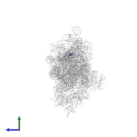 Modified residue 2MG in PDB entry 4duy, assembly 1, side view.