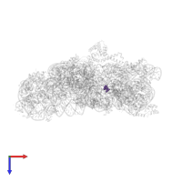 Modified residue 2MG in PDB entry 4duy, assembly 1, top view.