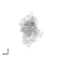 Small ribosomal subunit protein bS16 in PDB entry 4dv3, assembly 1, side view.