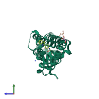 PDB entry 4dw6 coloured by chain, side view.