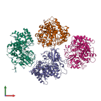 PDB entry 4dws coloured by chain, front view.