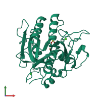 PDB entry 4dww coloured by chain, front view.