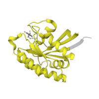 The deposited structure of PDB entry 4dxa contains 1 copy of Pfam domain PF00071 (Ras family) in Ras-related protein Rap-1b. Showing 1 copy in chain A.