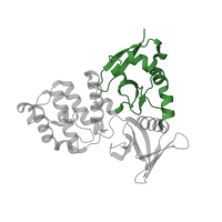 The deposited structure of PDB entry 4dxa contains 1 copy of CATH domain 3.10.20.90 (Ubiquitin-like (UB roll)) in Krev interaction trapped protein 1. Showing 1 copy in chain B.