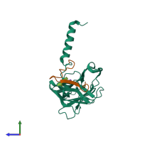 PDB entry 4dxr coloured by chain, side view.