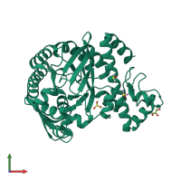 PDB entry 4dxx coloured by chain, front view.