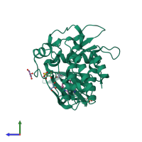 PDB entry 4dym coloured by chain, side view.