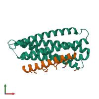 PDB entry 4dzv coloured by chain, front view.