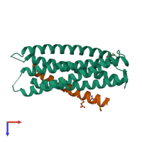 PDB entry 4dzv coloured by chain, top view.