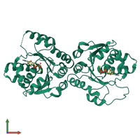 Homo dimeric assembly 3 of PDB entry 4e03 coloured by chemically distinct molecules, front view.