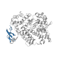 The deposited structure of PDB entry 4e1g contains 2 copies of CATH domain 2.10.25.10 (Laminin) in Prostaglandin G/H synthase 2. Showing 1 copy in chain A.