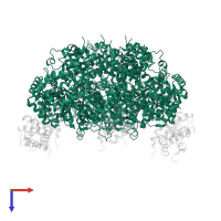 Large T antigen in PDB entry 4e2i, assembly 2, top view.