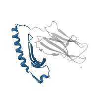 The deposited structure of PDB entry 4e41 contains 2 copies of CATH domain 3.10.320.10 (Class II Histocompatibility Antigen, M Beta Chain; Chain B, domain 1) in HLA class II histocompatibility antigen, DR alpha chain. Showing 1 copy in chain A.