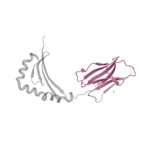 The deposited structure of PDB entry 4e41 contains 2 copies of Pfam domain PF07654 (Immunoglobulin C1-set domain) in HLA class II histocompatibility antigen, DRB1 beta chain. Showing 1 copy in chain B.