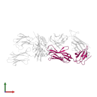 T cell receptor G4 alpha chain in PDB entry 4e41, assembly 1, front view.