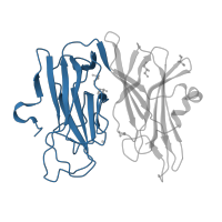 The deposited structure of PDB entry 4e4z contains 1 copy of CATH domain 2.60.120.310 (Jelly Rolls) in Peptidylglycine alpha-amidating monooxygenase. Showing 1 copy in chain A.