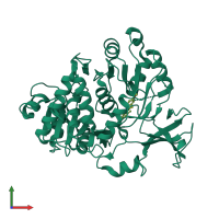 PDB entry 4e5d coloured by chain, front view.