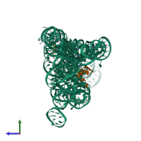 PDB entry 4e8k coloured by chain, side view.