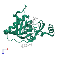Peptide deformylase in PDB entry 4e9b, assembly 1, top view.