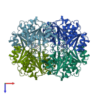 PDB entry 4eca coloured by chain, top view.