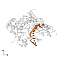 DNA (5'-D(*CP*AP*TP*TP*AP*TP*GP*AP*CP*GP*CP*T)-3') in PDB entry 4ecq, assembly 1, front view.