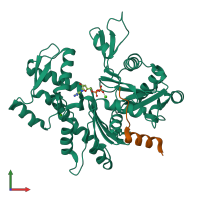 PDB entry 4efh coloured by chain, front view.