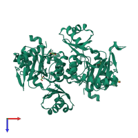 Homo dimeric assembly 1 of PDB entry 4eg0 coloured by chemically distinct molecules, top view.