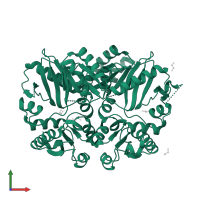 D-alanine--D-alanine ligase in PDB entry 4eg0, assembly 1, front view.