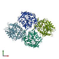 PDB entry 4ehb coloured by chain, front view.