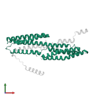 Vinculin in PDB entry 4ehp, assembly 1, front view.