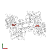 Modified residue LLP in PDB entry 4ej2, assembly 1, front view.