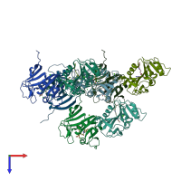 PDB entry 4elf coloured by chain, top view.